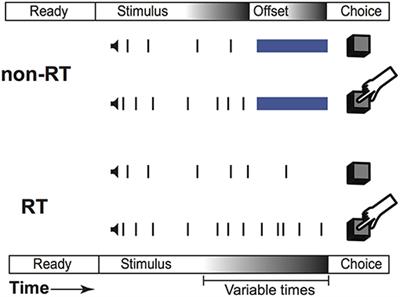 Deep Brain Stimulation of the Subthalamic Nucleus Induces Impulsive Responses to Bursts of Sensory Evidence